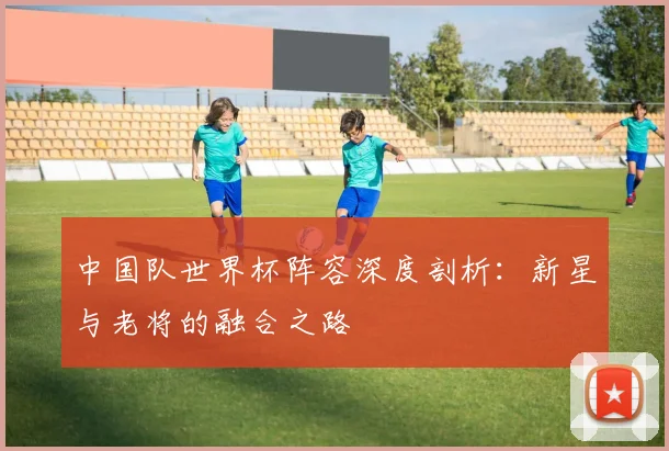 中国队世界杯阵容深度剖析：新星与老将的融合之路