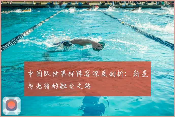 中国队世界杯阵容深度剖析:新星与老将的融合之路